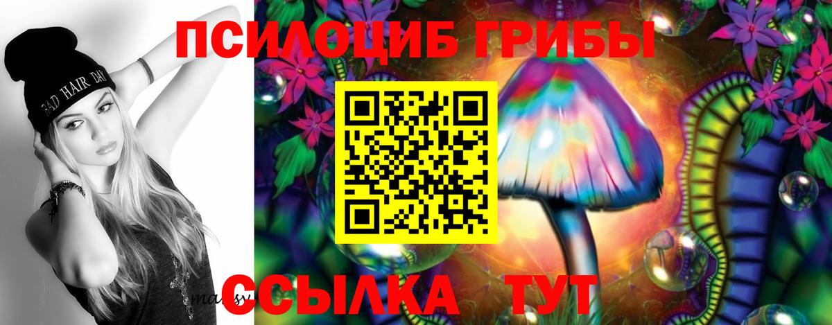 Галлюциногенные грибы мухоморы Мичуринск