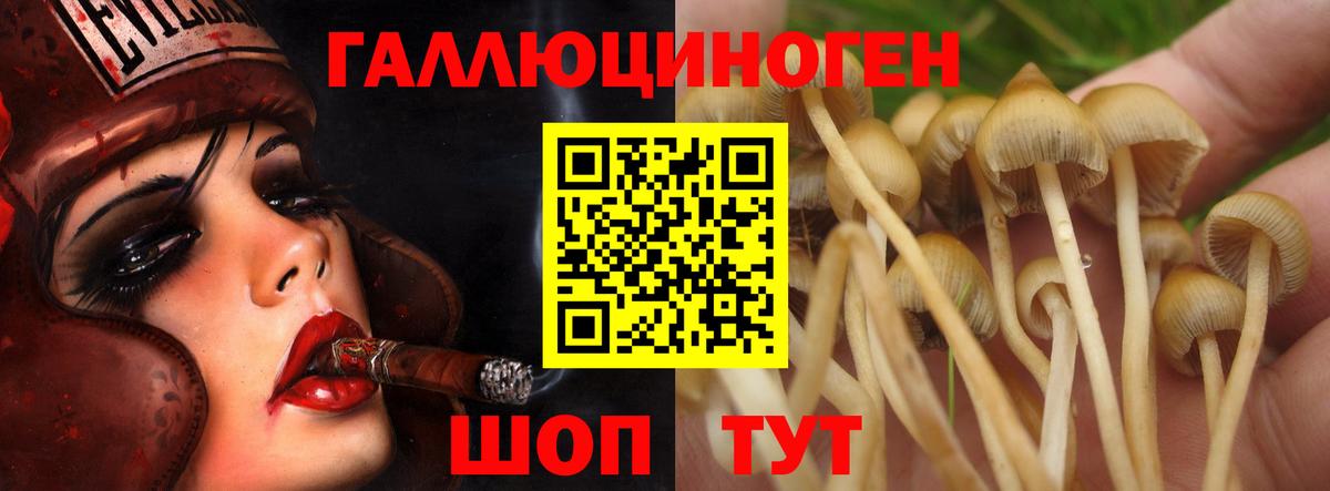 Мичуринск  Псилоцибиновые грибы мухоморы  Вход с VPN 